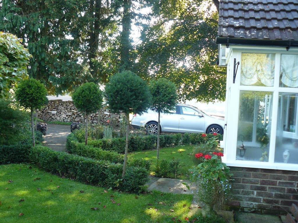 Forest View B&B Landford Zewnętrze zdjęcie
