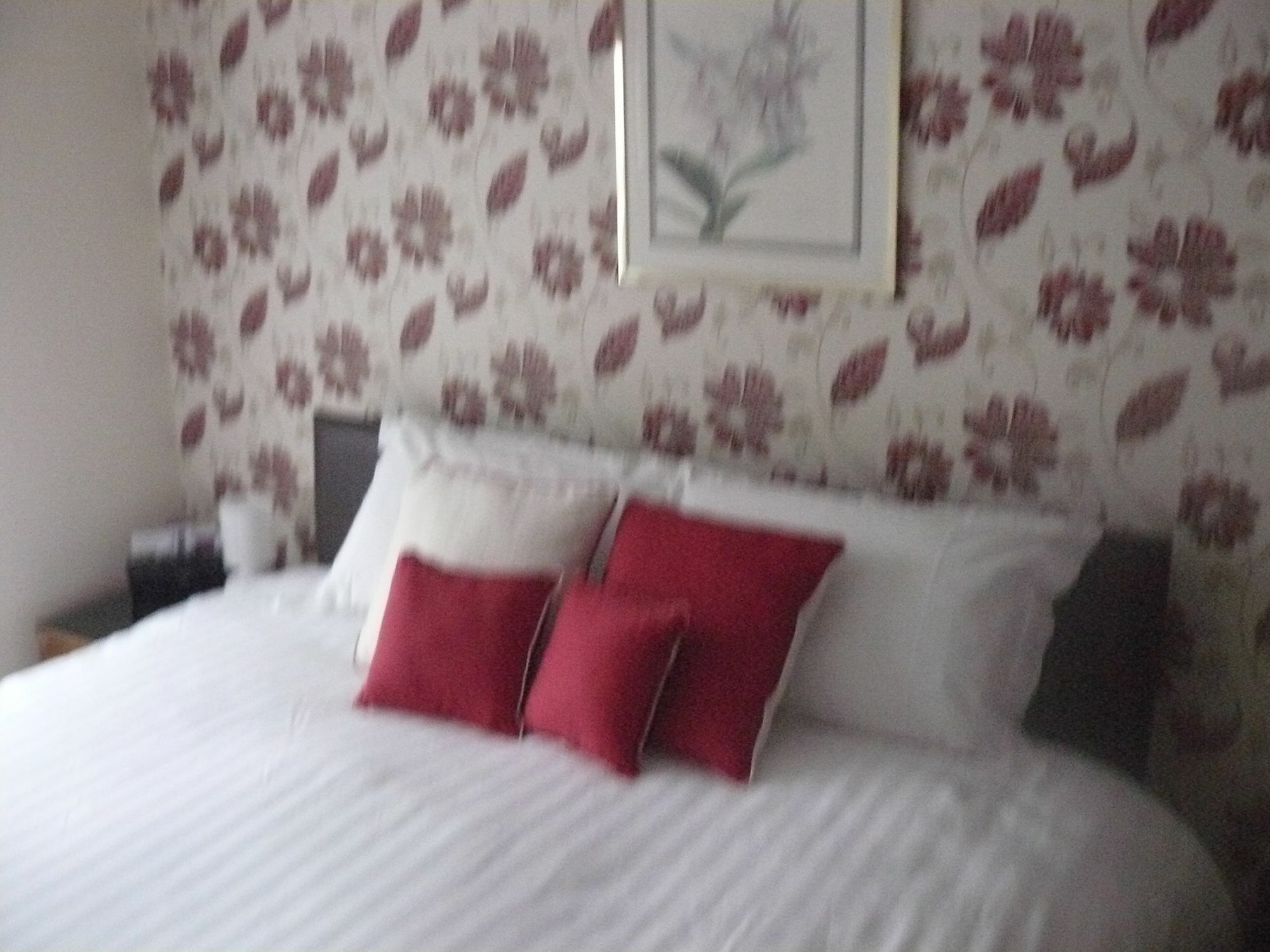 Forest View B&B Landford Zewnętrze zdjęcie