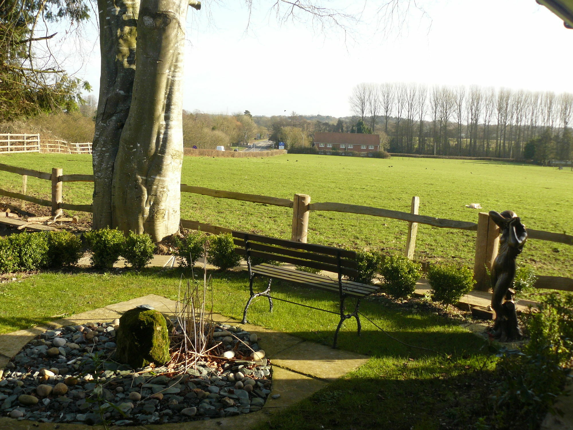 Forest View B&B Landford Zewnętrze zdjęcie